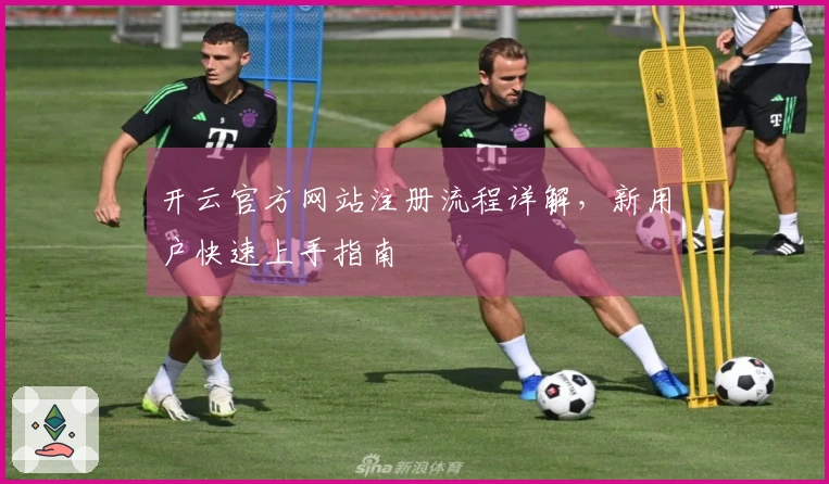 开云官方网站注册流程详解，新用户快速上手指南