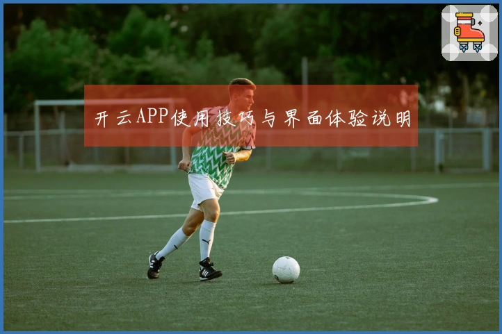 开云APP使用技巧与界面体验说明